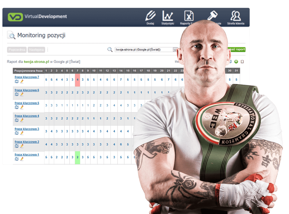 pozycjonowanie stron vd